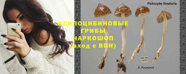 мет Алексин