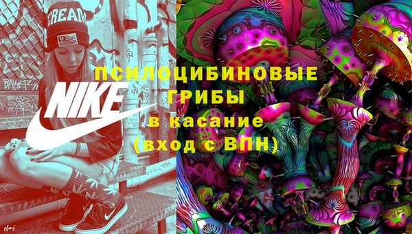 мет Алексин