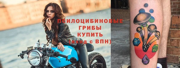 мет Алексин