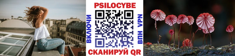 купить наркоту  Петрозаводск  Галлюциногенные грибы Psilocybine cubensis 