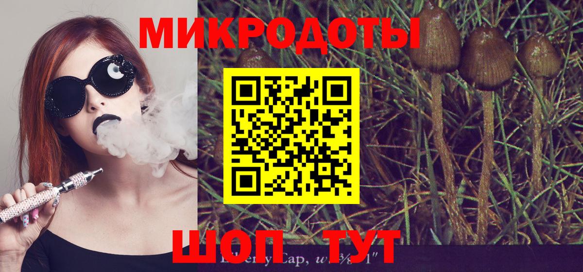 Галлюциногенные грибы Psilocybe Петрозаводск