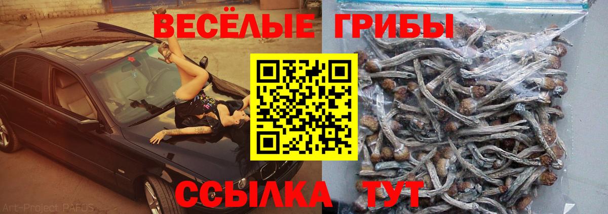 Псилоцибиновые грибы Psilocybine cubensis  Вход с VPN  дарнет шоп  Петрозаводск 